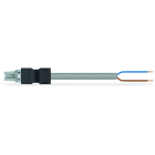 Wago Contact - Câble de raccordement précâblé Connecteur femelle/extrémité libre, gris