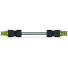 Wago Contact - Cordon de raccordement précâblé B2ca Connecteur femelle / connecteur mâle, vert