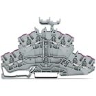 Wago Contact - TOPJOB'S Borne 2 étages pontés 4C / 2,5 (4) mm² / Gris / Support