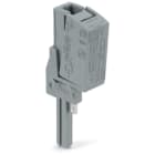 Wago Contact - ADAPTATEUR DE TEST N BORNE À ÉTAGES 2003-6641 POUR CAGE DE TEST VERTICALE, gris
