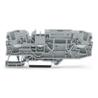 Wago Contact - TOPJOB'S Borne de base 2C / 6 (10) mm² / Gris
