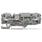 Wago Contact - TOPJOB'S Borne fusible plat 2C / 6 (10) mm² / Gris / Affichage défaut / 24V