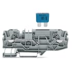 Wago Contact - TOPJOB'S Borne fusible plat 2C / 6 (10) mm² / Gris