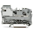 Wago Contact - Borne potentiel 1 cond gris