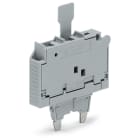 Wago Contact - Fiche fusibl.av.lang.cart.g5x20mm.