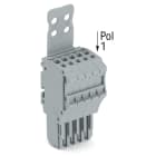 Wago Contact - Connecteur femelle pour 1 conducteur gris