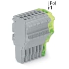 Wago Contact - Connecteur femelle pour 1 conducteur gris/ja-ve