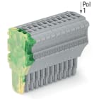 Wago Contact - Connecteur femelle pour 1 conducteur ja-ve/gris