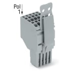 Wago Contact - Connecteur femelle pour 2 conducteur gris