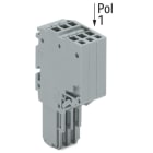 Wago Contact - Connecteur femelle pour 2 conducteur gris