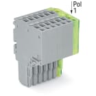 Wago Contact - Connecteur femelle pour 2 conducteur gris/ja-ve