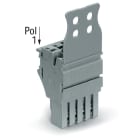 Wago Contact - Connecteur femelle pour 1 conducteur gris