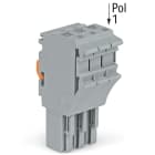Wago Contact - Connecteur femelle pour 1 conducteur gris