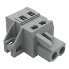 Wago Contact - Connecteur femelle 5 mm 2 pôles /A/BR/FIX/S/RENF/