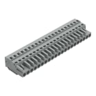 Wago Contact - Connecteur femelle evec plaque d'extremite et connexion cage clamp