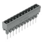 Wago Contact - Male connector for rail-mount terminal b 1.2 x 1.2 mm pins Droit, gris