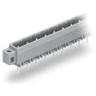 Wago Contact - Connecteur mâle THT 1.2 x 1.2 mm solder pin Droit, gris