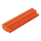 Wago Contact - Connecteur femelle avec plaque d'extrémité et connexion cage clamp