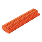 Wago Contact - Connecteur femelle avec plaque d'extrémité et connexion cage clamp