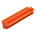 Wago Contact - Connect male cc 5.08mm 20p snap-in