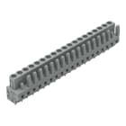 Wago Contact - Connecteur femelle THT 0.6 x 1.0 mm solder pin Droit, gris