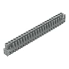 Wago Contact - Connect fem CI 5mm 24p/droit/gris