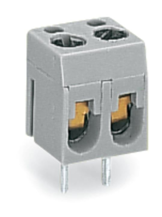 Wago Contact - Borne de raccordement modulaires avec protection 1 pôle pas 10 mm / Gris
