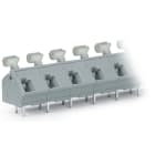 Wago Contact - Borne pour CI Bouton-poussoir 2,5mm² pas 10/10,16mm 16 pôles, gris