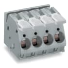 Wago Contact - Barr borne 16mm² pas 10mm 8p gris