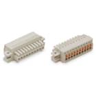 Wago Contact - Connecteur femelle pour 1 conducteur 100% protégé contre l'inversion, gris clair