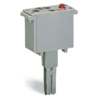 Wago Contact - Module enfichable : module à lampe Néon 110 Vac/dc (Largeur 10 mm)
