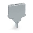Wago Contact - Boîtiers vides Type 10 Pas de 15 mm, gris