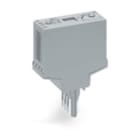Wago Contact - Boîtiers vides Type 11 Largeur 20 mm, gris