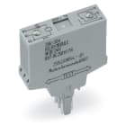 Wago Contact - REL DC 110V, gris