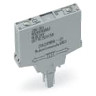 Wago Contact - Fiche relais 24 Vdc / 1 T
