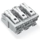 Wago Contact - LUM17 3P sPF sPE N PE L