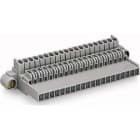 Wago Contact - Connecteur femelle gris