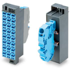 Wago Contact - Bloc du potentiel impression 1-24, bleu gentiane