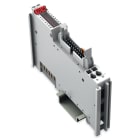 Wago Contact - Borne 16 sorties TOR 24 V DC - 0.5 A - HE10 - Type N