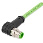 Wago Contact - Câble ETHERNET/PROFINET - M12 mâle coudé - Extrémité libre - 10m