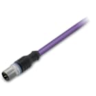 Wago Contact - Câble CANopen/DeviceNet - M12 mâle droit - Extrémité libre - 5m