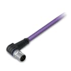 Wago Contact - Câble CANopen/DeviceNet - M12 mâle coudé - Extrémité libre - 2m