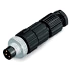 Wago Contact - Connecteur - 3 pôles - M8 mâle droit - Connexion IDC