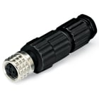 Wago Contact - Connecteur - 3 pôles - M8 femelle droit - Connexion IDC