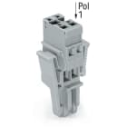 Wago Contact - Connecteur femelle 1C, 2 pôles / avec cliquet de verrouillage