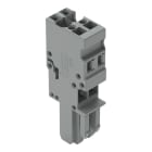 Wago Contact - Connecteur femelle 1C, Avec détrompeurs, 2 pôles /'R'=4 mm²