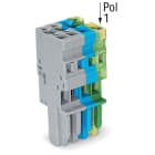 Wago Contact - Connecteur femelle pour 1 conducteur gris/bleu/ja-ve