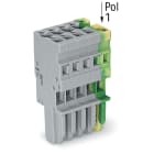 Wago Contact - Connecteur femelle pour 1 conducteur gris/ja-ve