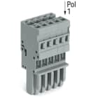 Wago Contact - Connecteur femelle 1C, av. détrompeurs, 5 pôles /'r'=4 mm²