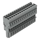 Wago Contact - Connecteur femelle 1C, Avec détrompeurs, 15 pôles /'R'=4 mm²